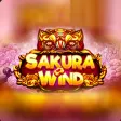 Sakura Wind Sakura Wind