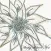 AFNFlowerStickers