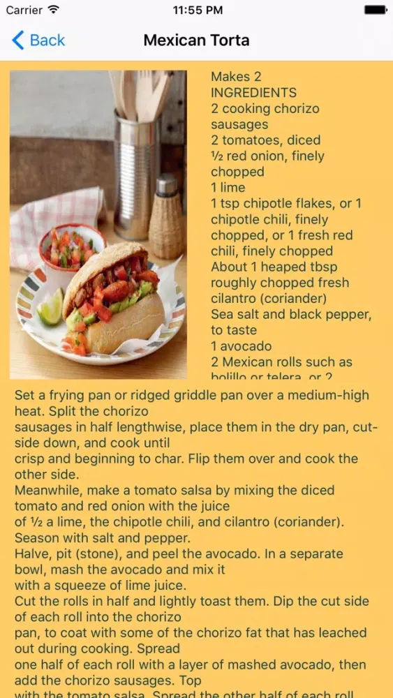 100 Sandwich Recipes应用截图