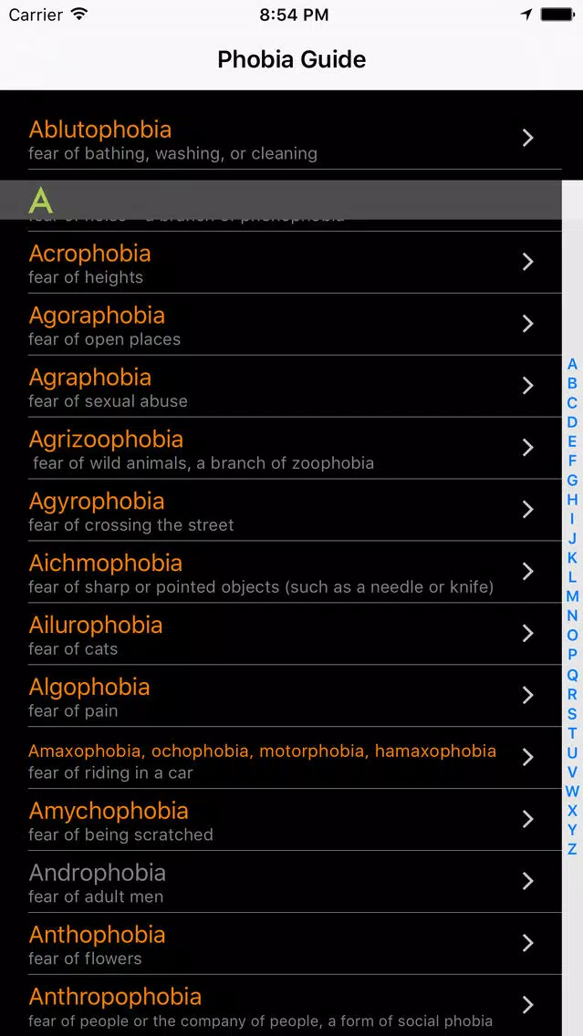 Скриншоты Phobia Guide