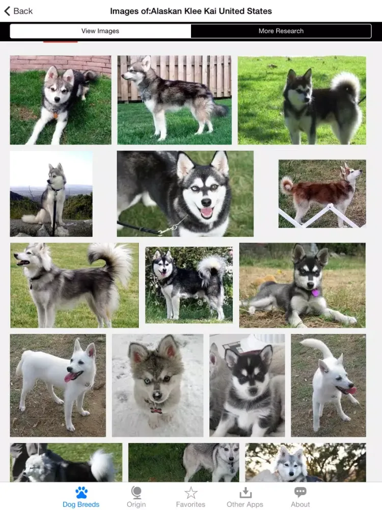 Скриншоты Guide to Dog Breeds iPad 