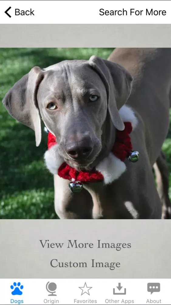 Скриншоты Guide to Dog Breeds