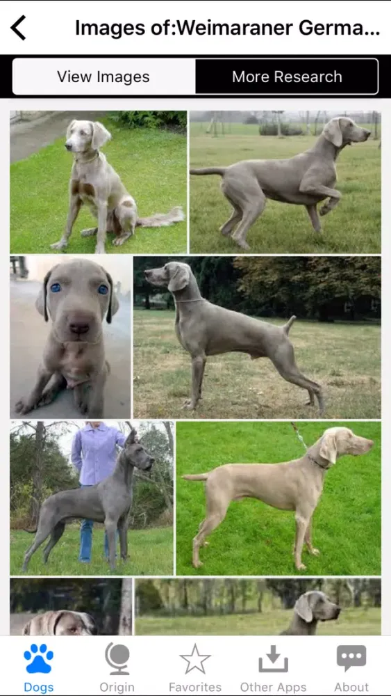 Скриншоты Guide to Dog Breeds