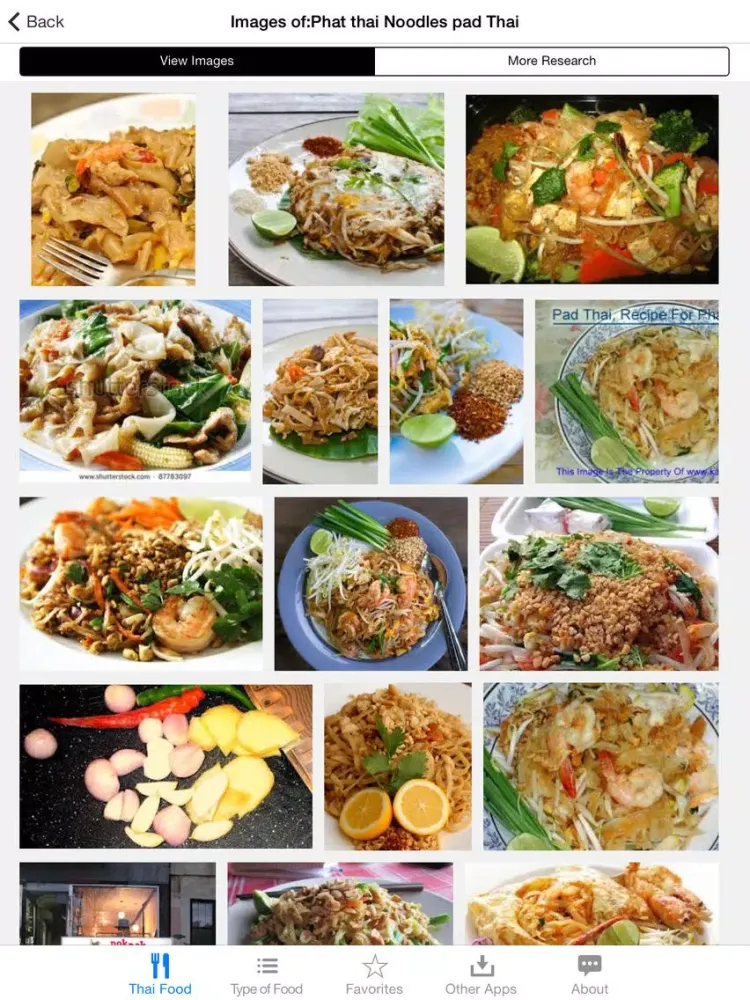 Guide to Thai Food iPad 應用截圖