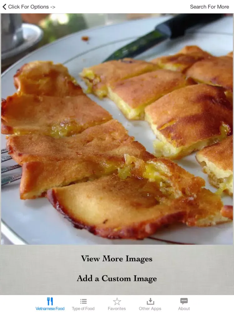 تصاویر Guide To Vietnamese Food iPad 