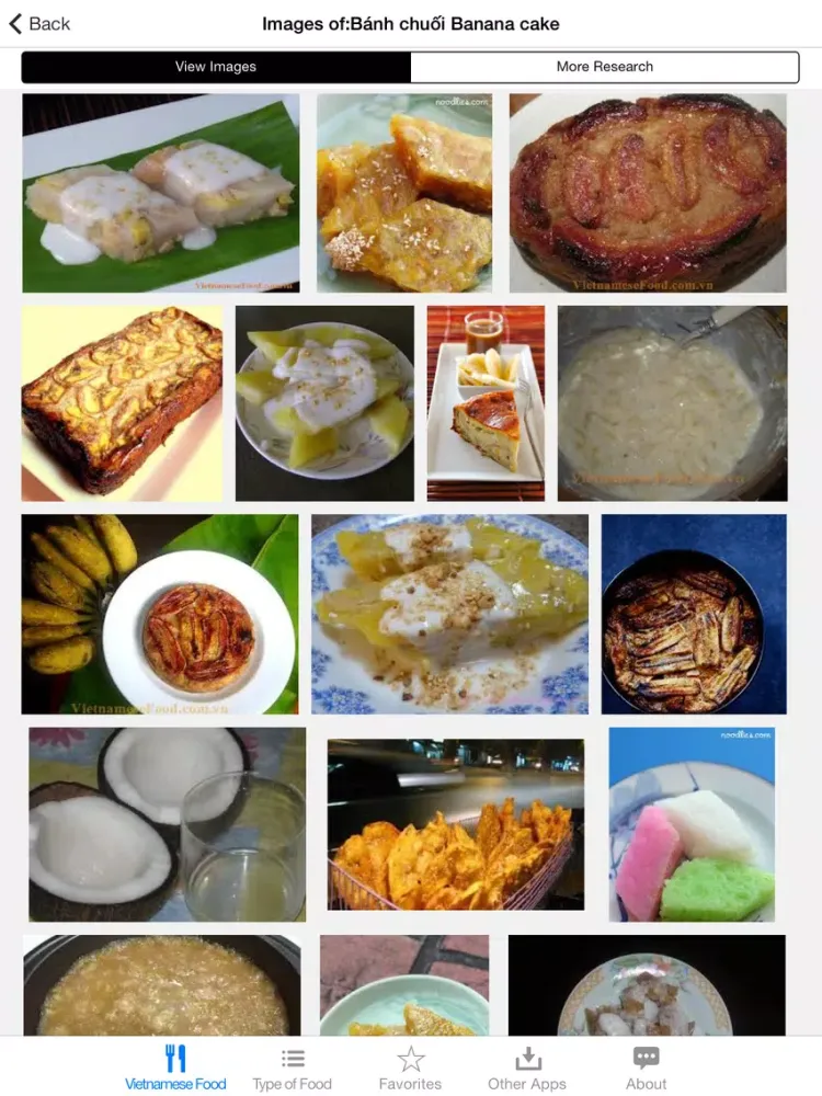 تصاویر Guide To Vietnamese Food iPad 