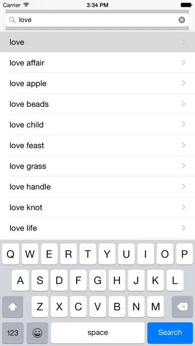 Armenian English dictionary, best translate tool スクリーンショット