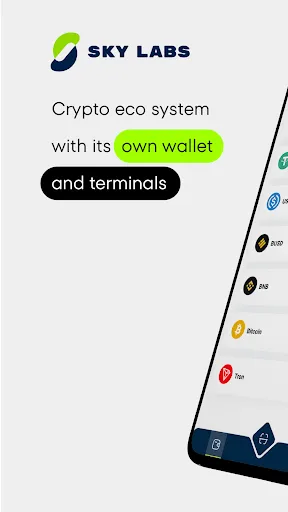 SkyLabs: Wallet and Terminals Screenshots