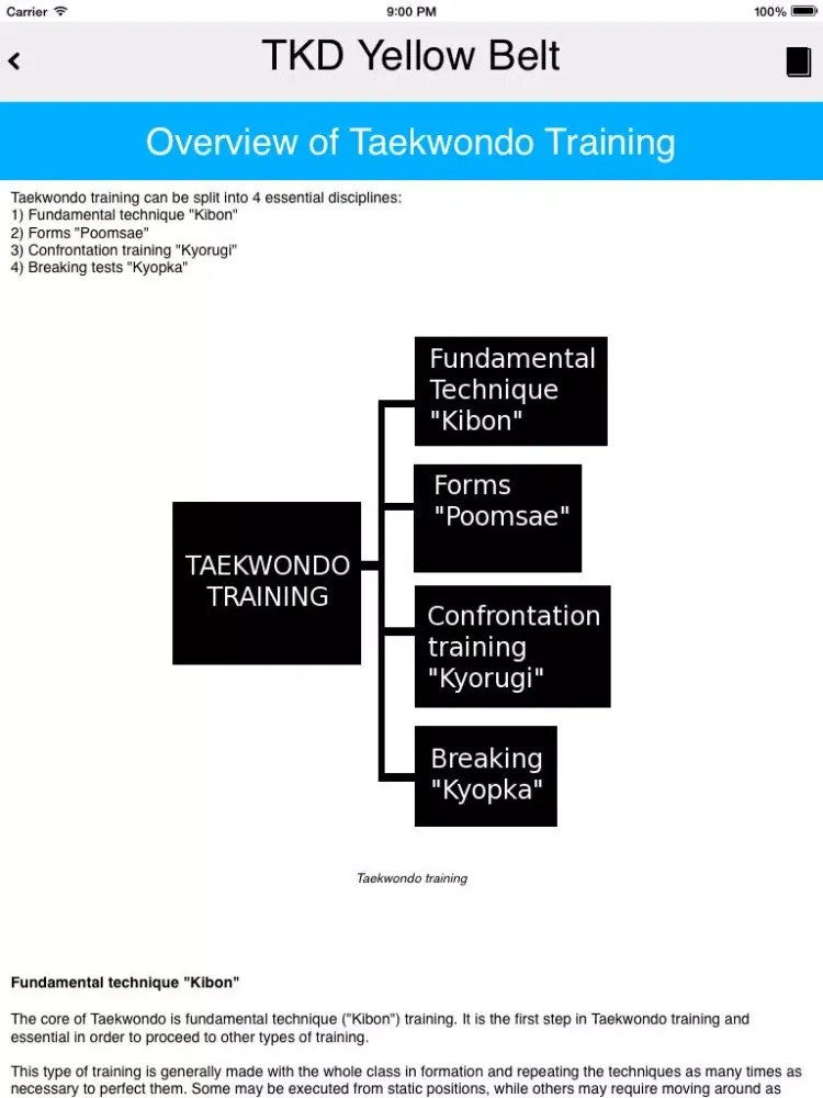 The Taekwondo Yellow Belt iPad  سکرین شاٹس