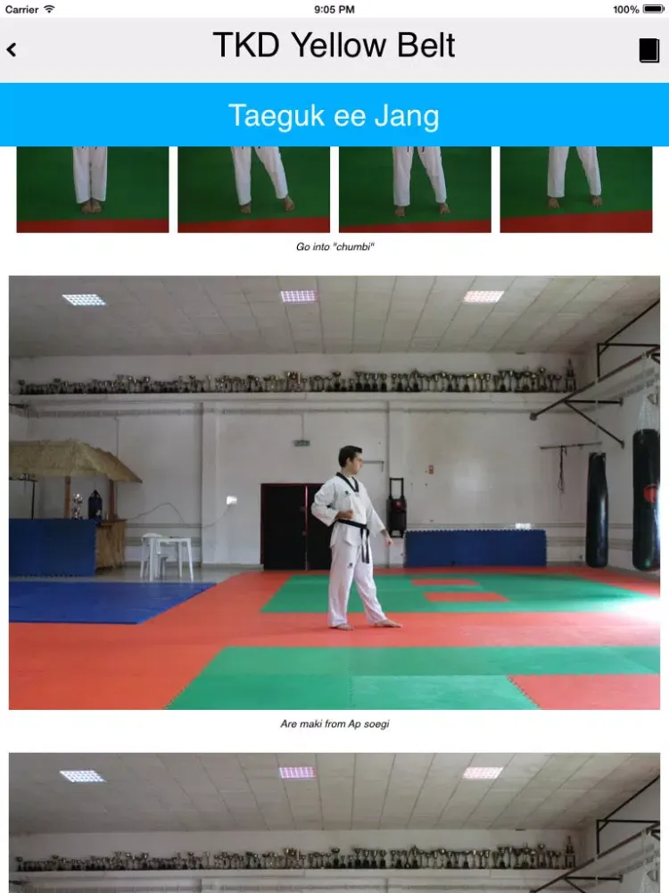 The Taekwondo Yellow Belt iPad  سکرین شاٹس