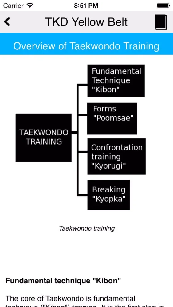 The Taekwondo Yellow Belt سکرین شاٹس