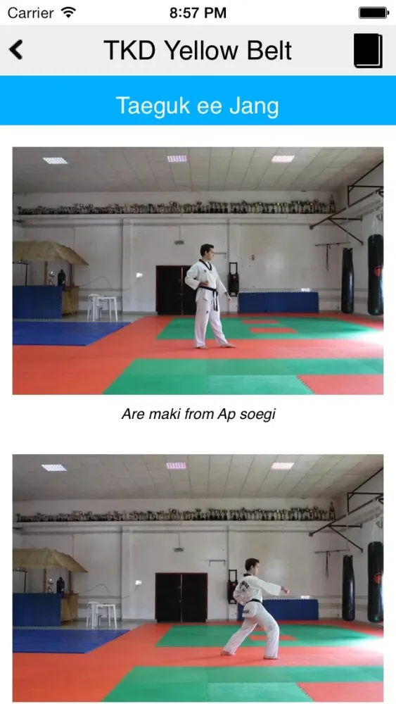 The Taekwondo Yellow Belt سکرین شاٹس