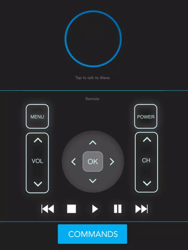Fire Stick Remote iPad  سکرین شاٹس