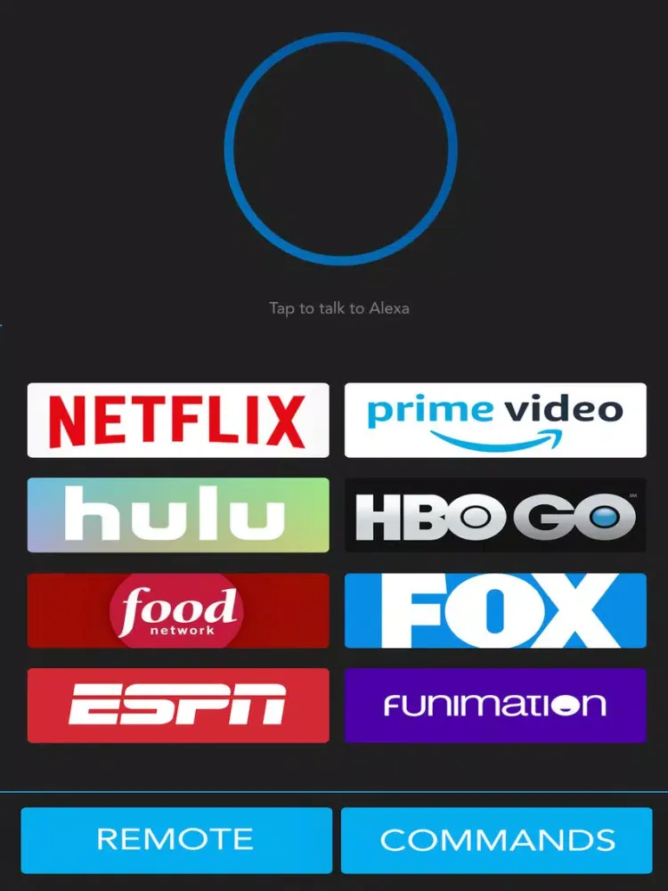 Fire Stick Remote iPad  سکرین شاٹس
