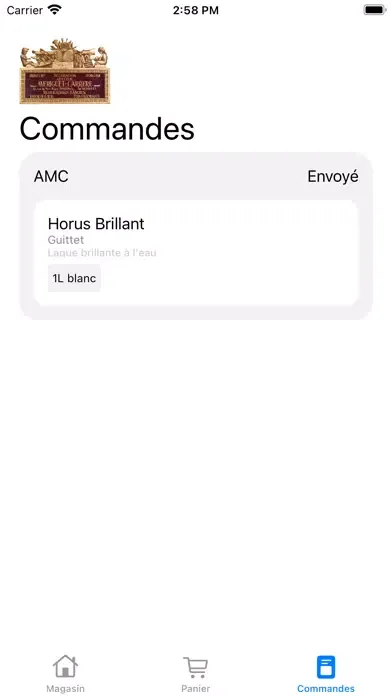 AMC Magasin应用截图
