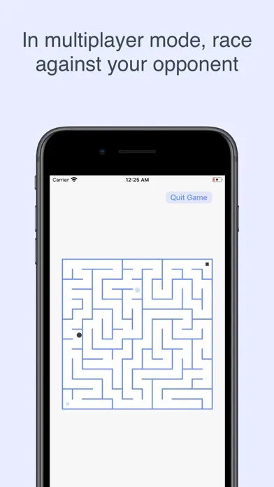 Mazer: Classic Maze Game سکرین شاٹس