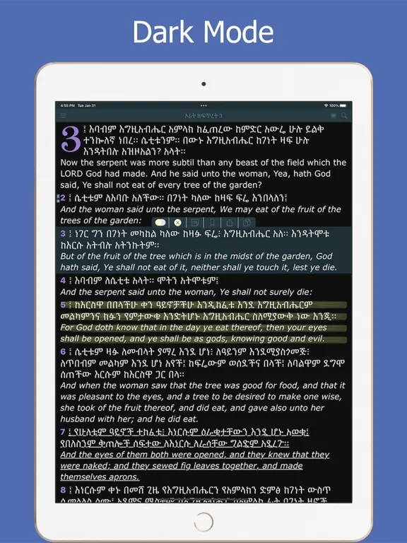 Amharic Holy Bible Ethiopian iPad 应用截图