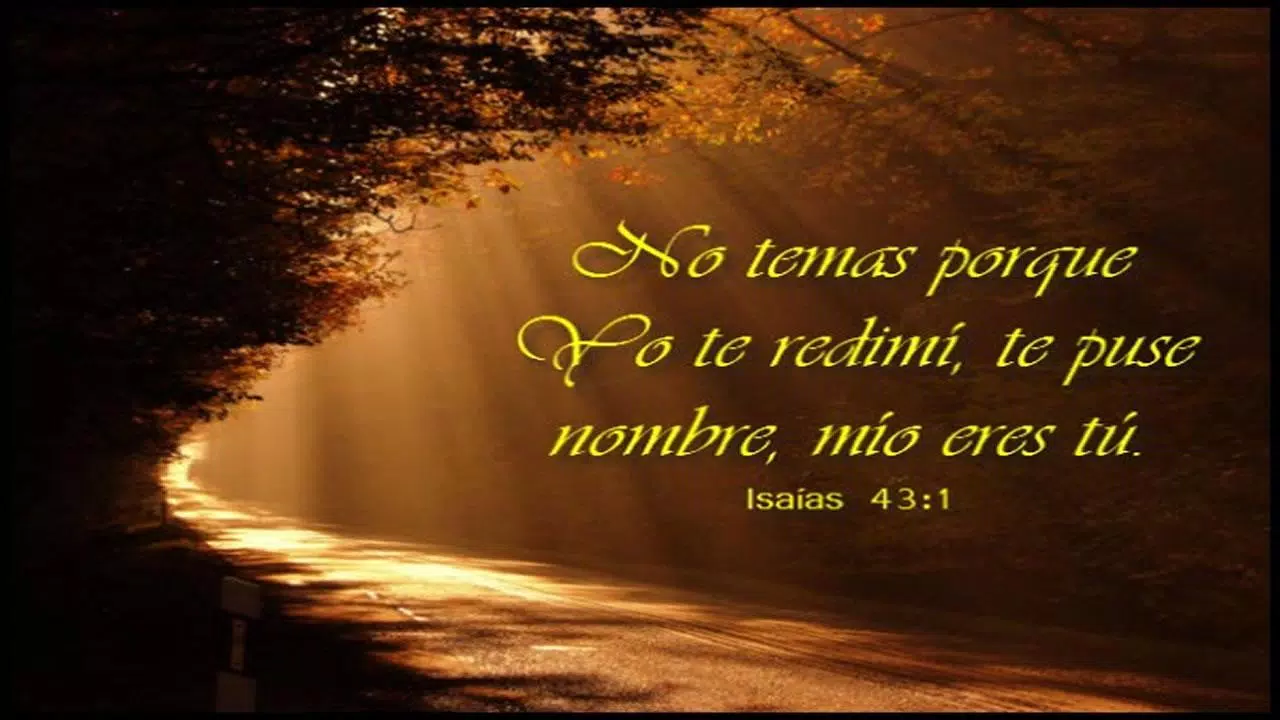 Reflexiones Biblicas de hoy Screenshots