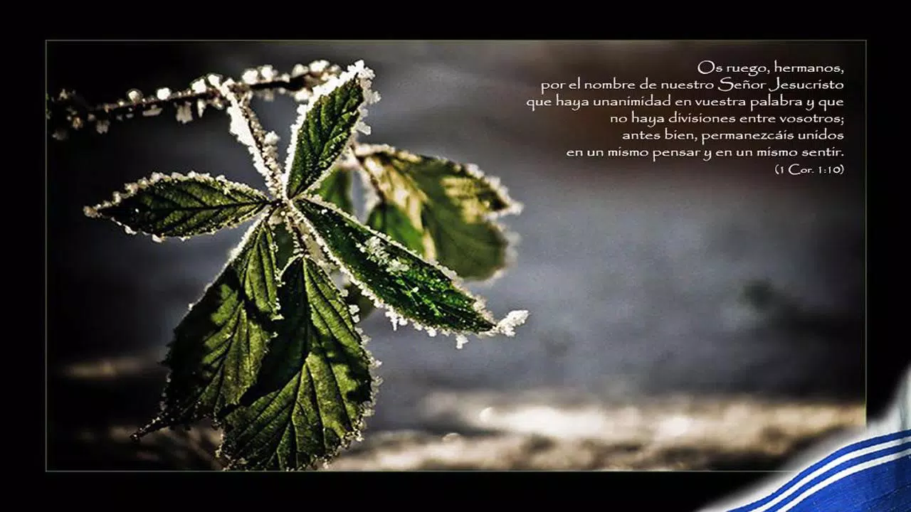 Reflexiones Biblicas de hoy Screenshots