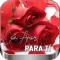 Flores y Rosas de Amor -Frases
