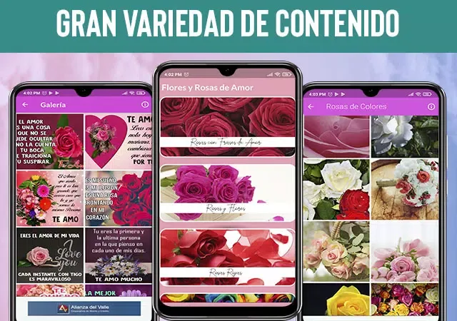 ภาพหน้าจอของ Flores y Rosas de Amor -Frases