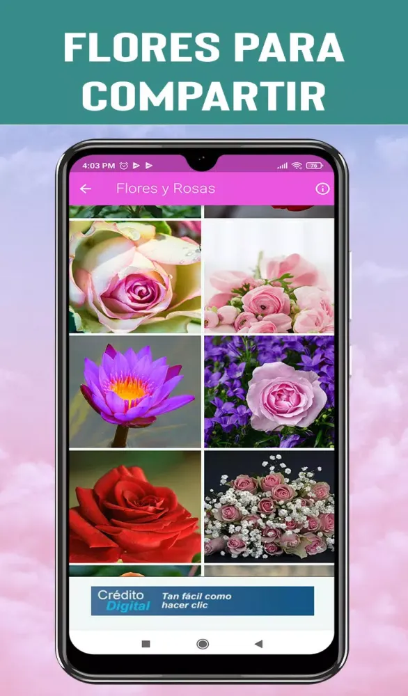ภาพหน้าจอของ Flores y Rosas de Amor -Frases
