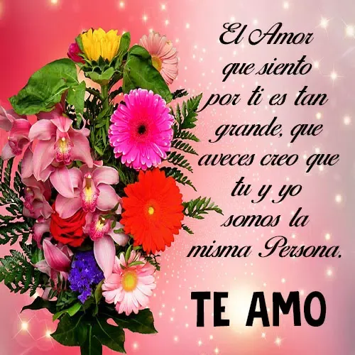 ภาพหน้าจอของ Flores y Rosas de Amor -Frases