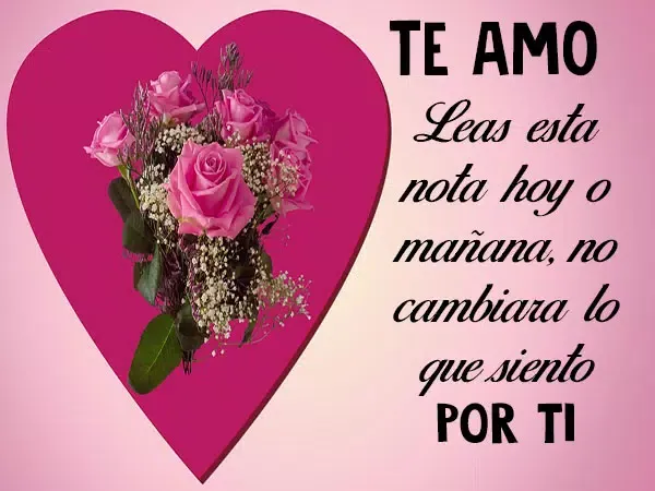 ภาพหน้าจอของ Flores y Rosas de Amor -Frases
