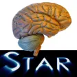 Anatomy Star - CNS (the Brain) Anatomy Star - CNS (the Brain)