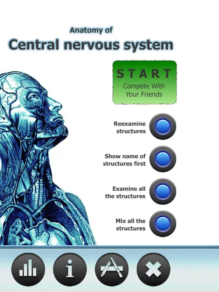 Anatomy Star - CNS (the Brain) iPad  Screenshots