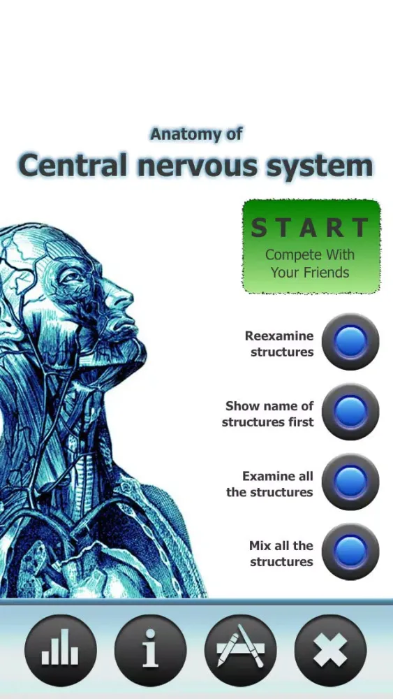 Anatomy Star - CNS (the Brain) Screenshots