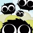 BlackFly Season