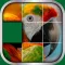 Animals Sliding Puzzle Game – Move and Match Pieces to Put Together Cute Pets Photos