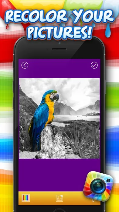 Color Splash Photo Studio – Recolor Editing Tool with Pop Retouch Effects Screenshots