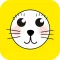 Animal face filters for pictures