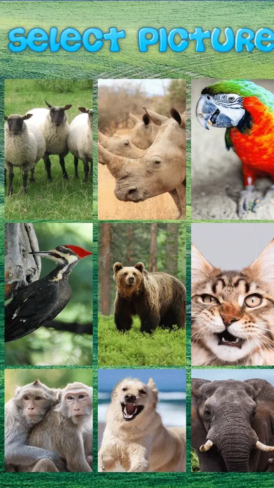 Animals Puzzle Screenshots