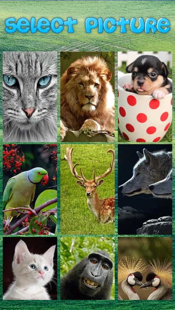 Animals Puzzle Screenshots