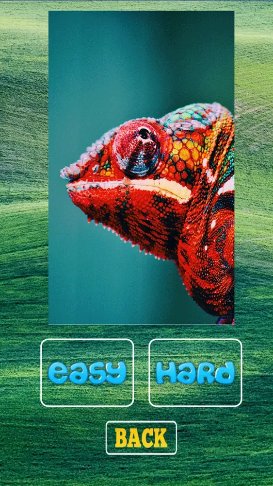 Animals Puzzle Screenshots