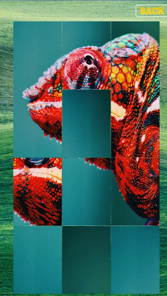 Animals Puzzle Screenshots