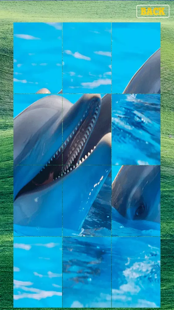 Animals Puzzle Screenshots