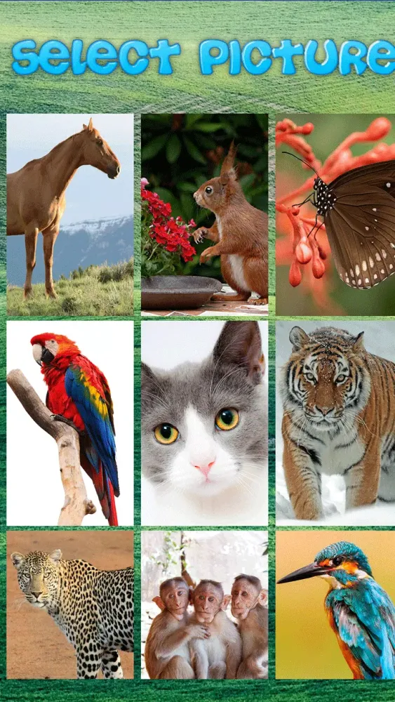 Animals Puzzle Screenshots