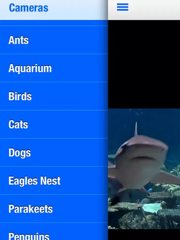 Animal Cams - Watch real live wildlife iPad  سکرین شاٹس