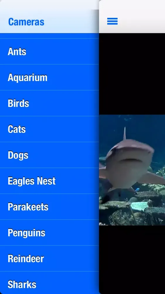 Animal Cams - Watch real live wildlife سکرین شاٹس