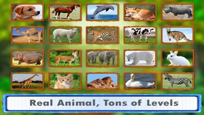 Animal Jigsaw Puzzles : puppy & cat puzzles স্ক্রিনশট
