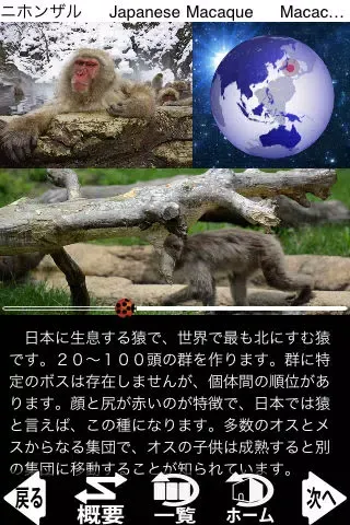 Animal Life mini JP FREE Ekran Görüntüleri