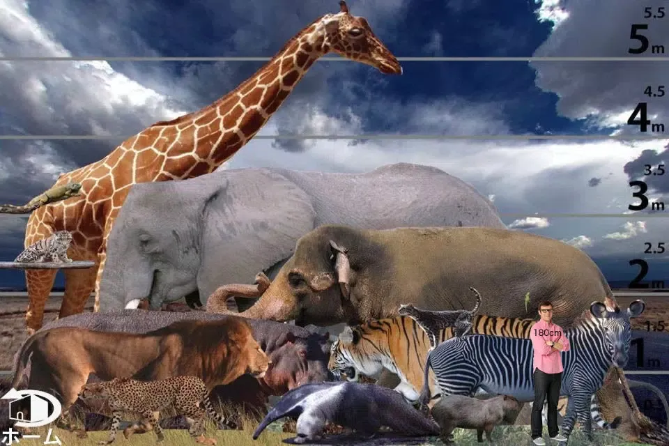 Animal Life mini JP FREE Ekran Görüntüleri