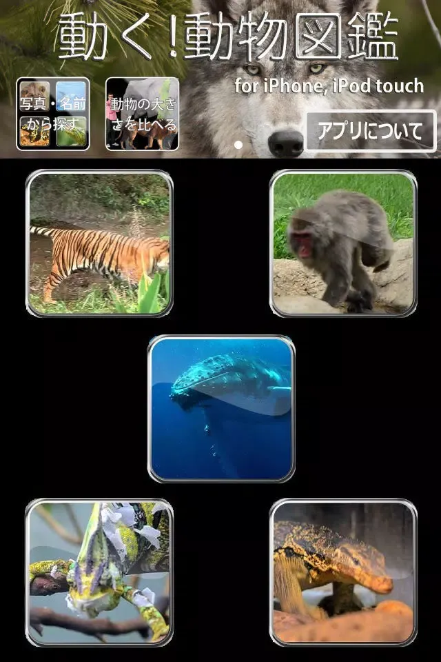 Animal Life mini JP FREE Ekran Görüntüleri