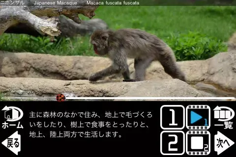 Animal Life mini JP FREE Ekran Görüntüleri