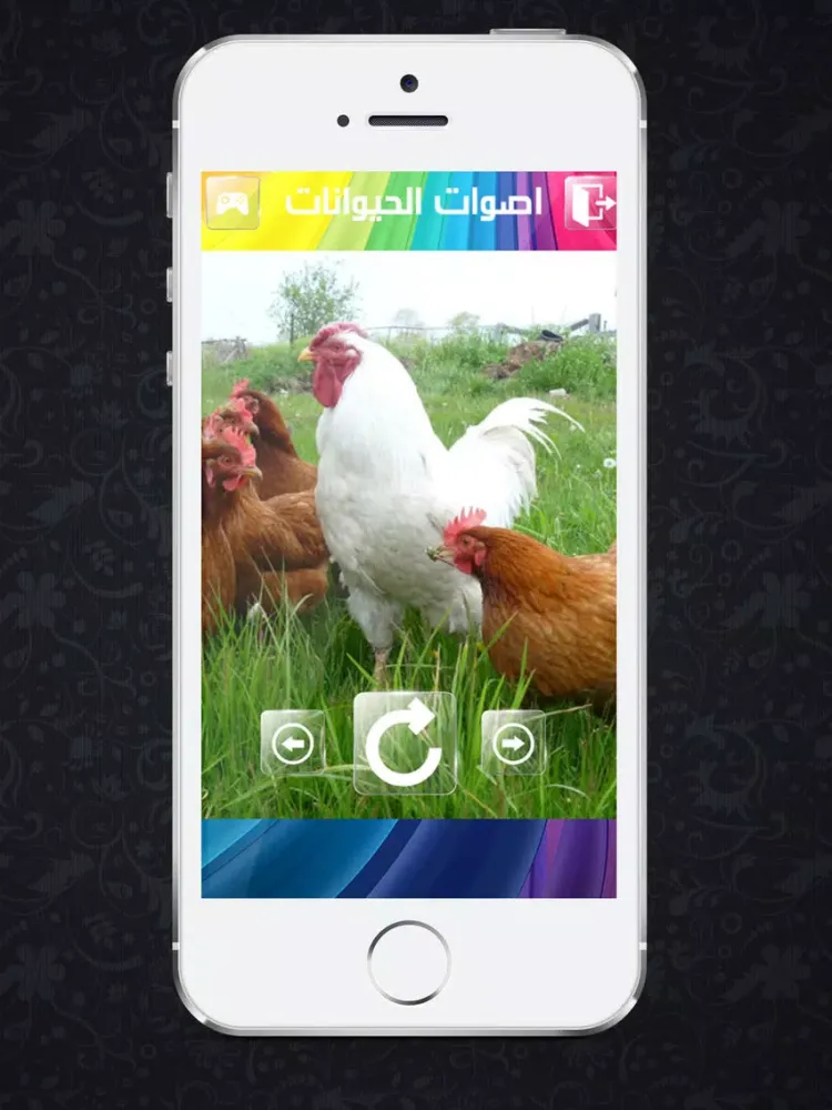 Zrzuty ekranu اصوات الحيوانات للاطفال iPad 