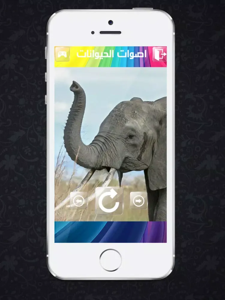 Zrzuty ekranu اصوات الحيوانات للاطفال iPad 